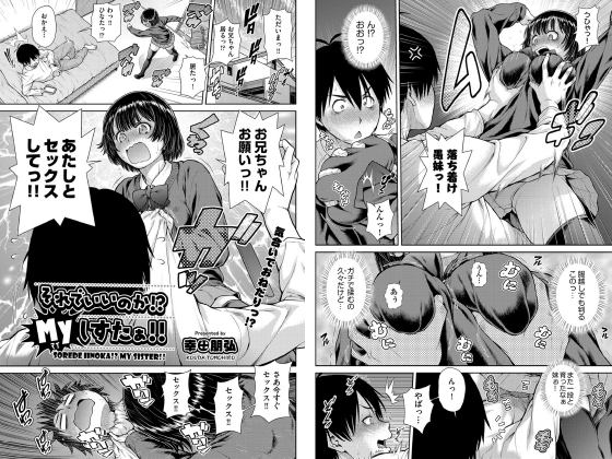 【エロ漫画】それでいいのか！？Myしすたぁ！！【単話】のトップ画像